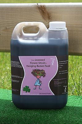 Seaweed Flower, Shrub & Hanging Basket Fertilizer Organic Fertiliser Liquid Feed 2.5L