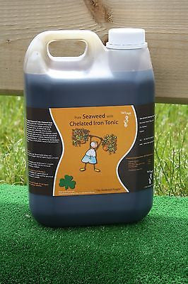 fertilizer with iron for plants Seaweed Chelated Iron Tonic Plant Fertilizer Organic Fertiliser Liquid Feed 2.5ltr