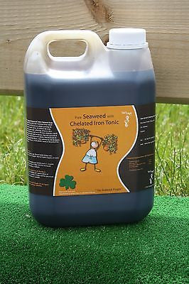 Seaweed Chelated Iron Tonic Plant Fertilizer Organic Fertiliser Liquid Feed 2.5ltr